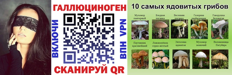 площадка формула  Онега  Псилоцибиновые грибы Psilocybine cubensis 